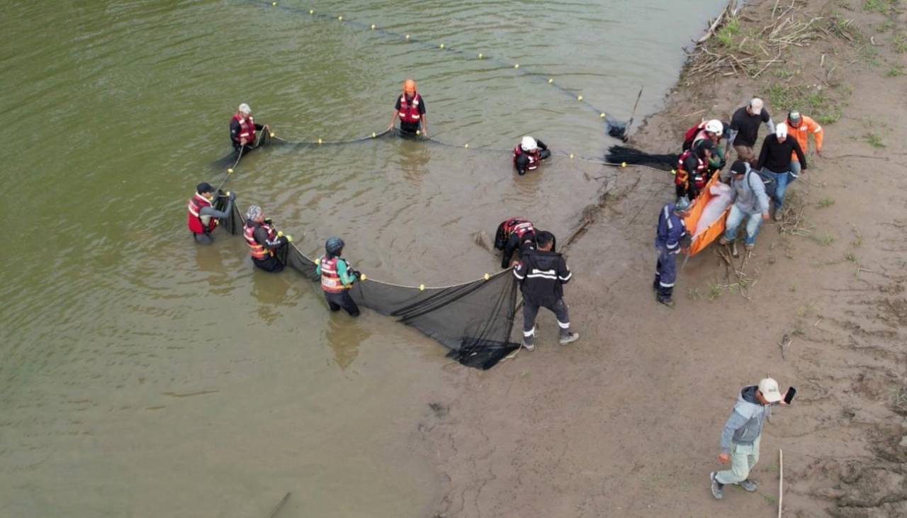 El rescate de 27 bufeos o delfines rosados fue el más grande realizado a la fecha, según biológa
